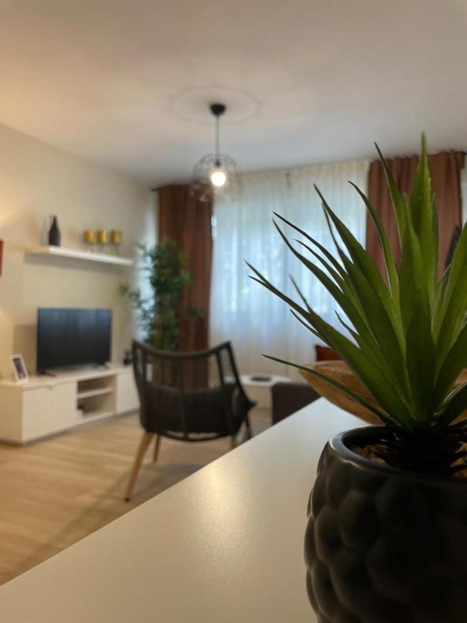 Apartamento Jerez 2022 Jerez de la Frontera Zewnętrze zdjęcie